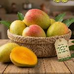 Product 5